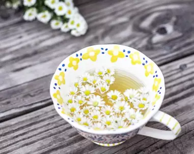 위염에-좋은-차-위염-증상-건강