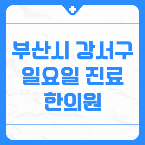 부산시 강서구 일요일 진료 한의원