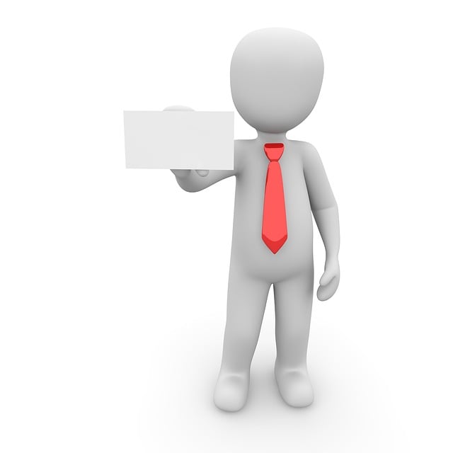 취준생을 위한 2025년 채용 정보 (N잡, 신입 공략법)