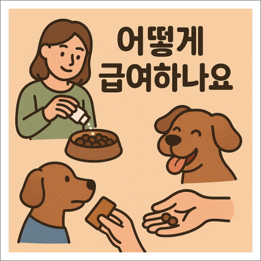 공생유산균_먹이는 법