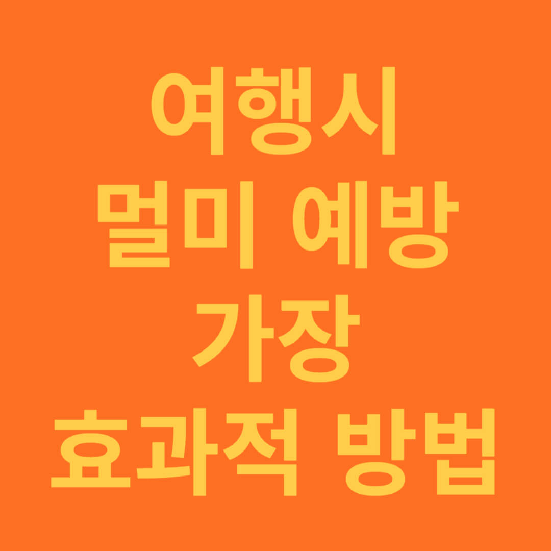 멀미 예방 증상 완화 및 효과적인 예방 방법