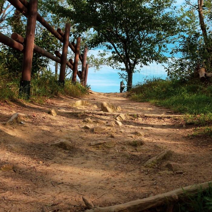 서울 도심 여행