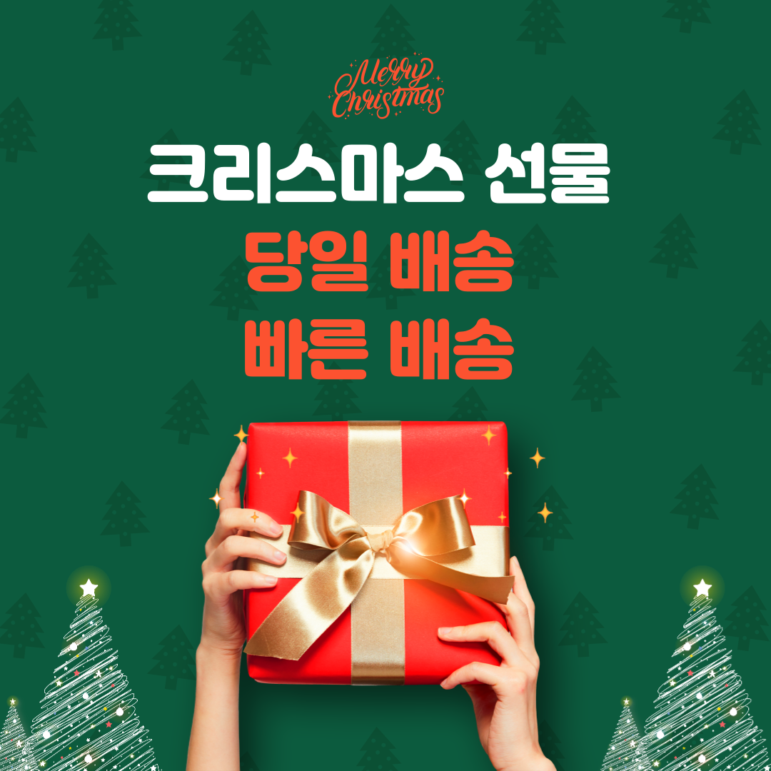크리스마스 선물 사진