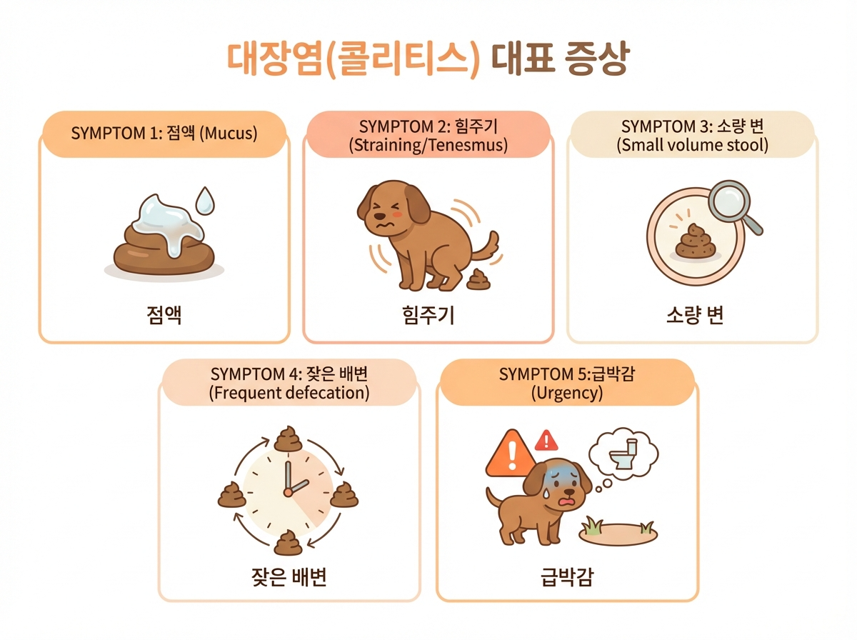 소장성 설사와 대장성 설사 구분(횟수, 배변량, 점액, 선홍혈변, 멜레나)