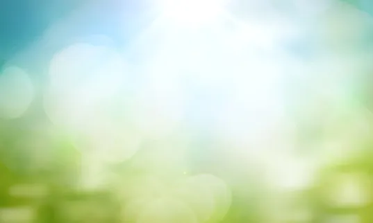 사회복지사 2급 총정리
