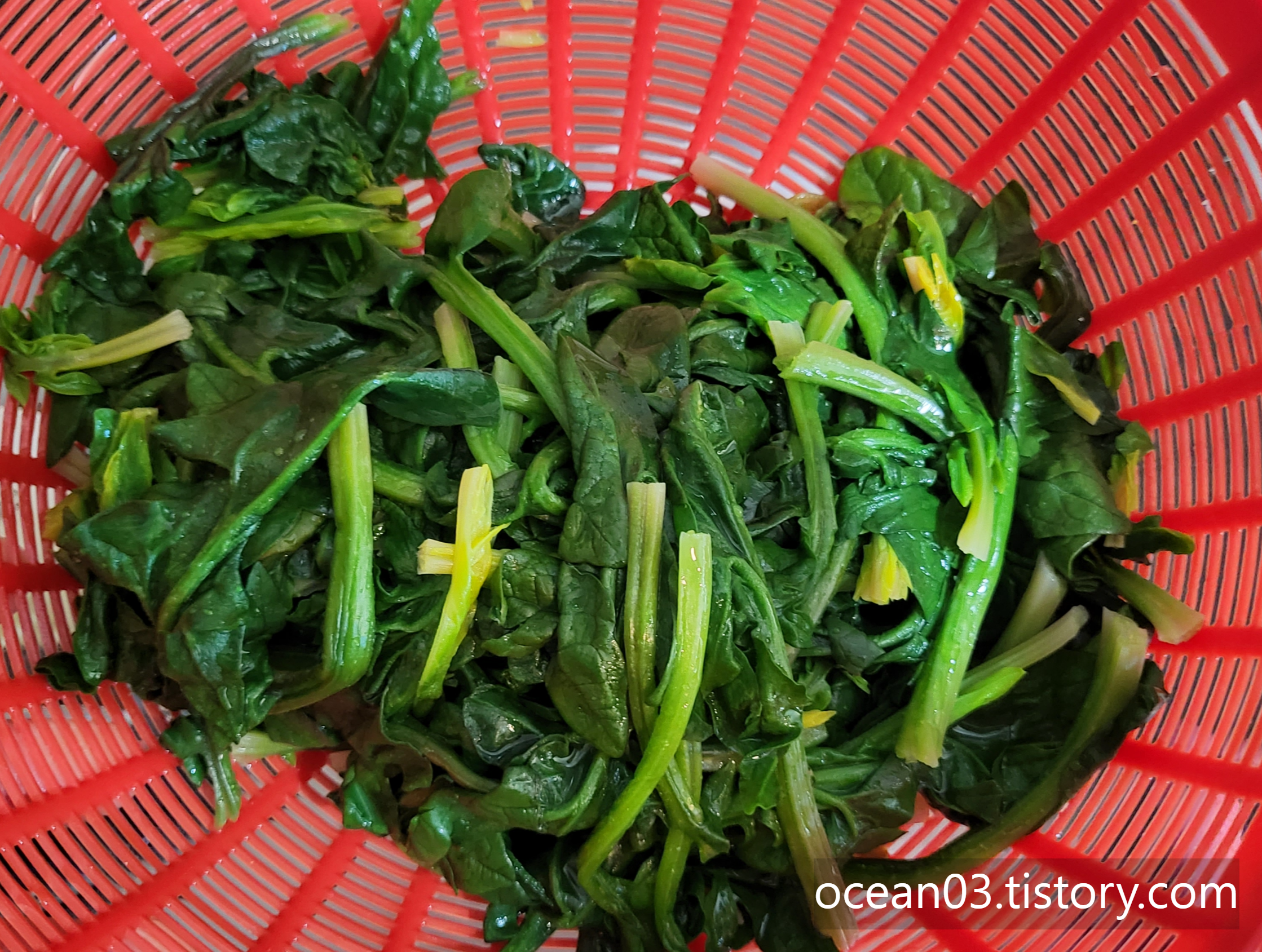 시금치 삶기