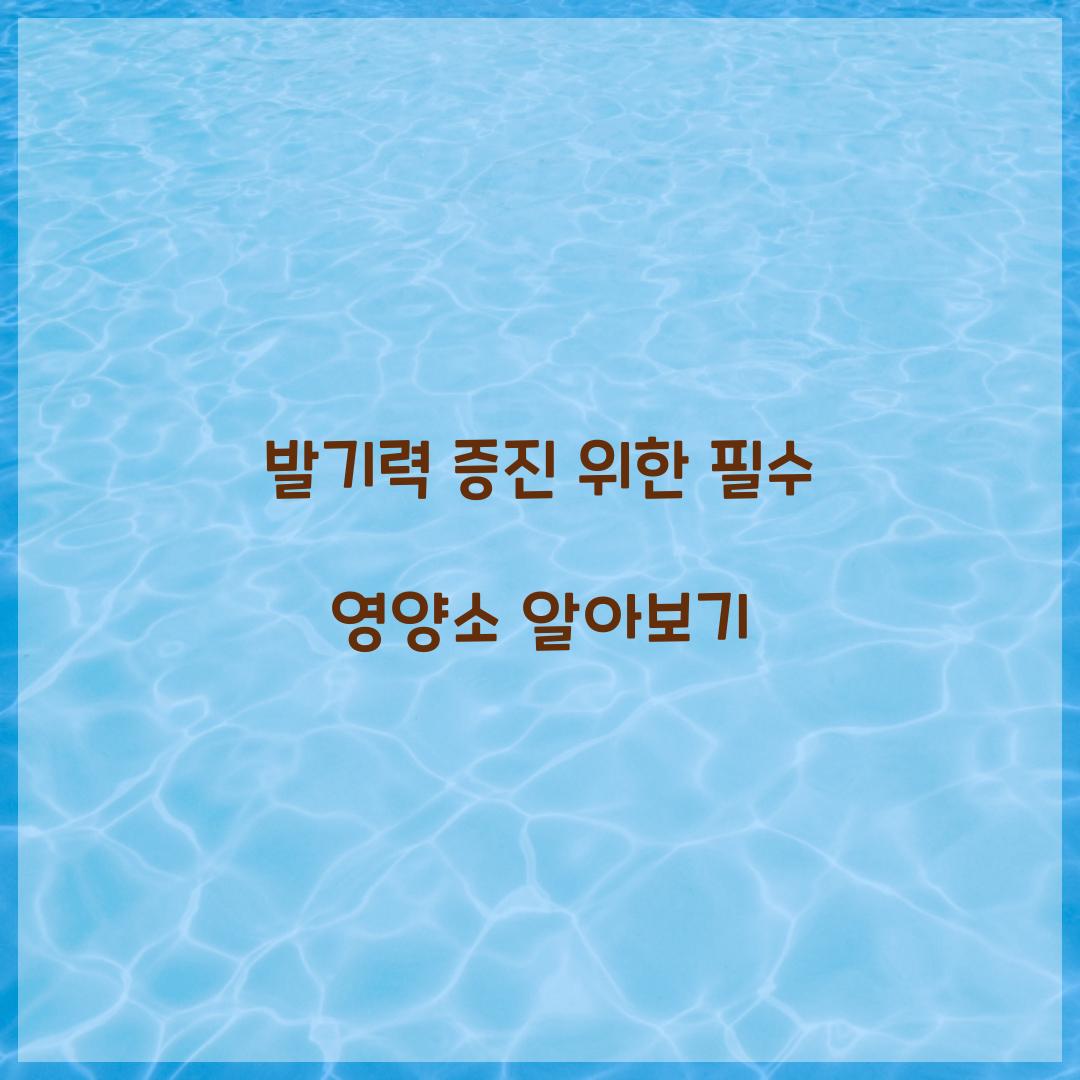 발기력 증진