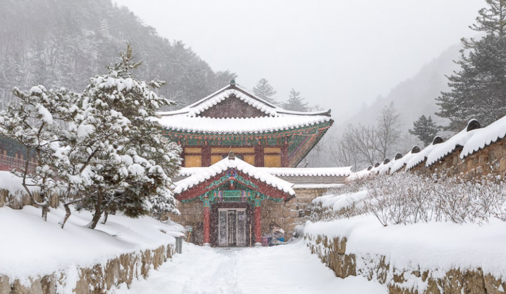 정선 정암사 일주문