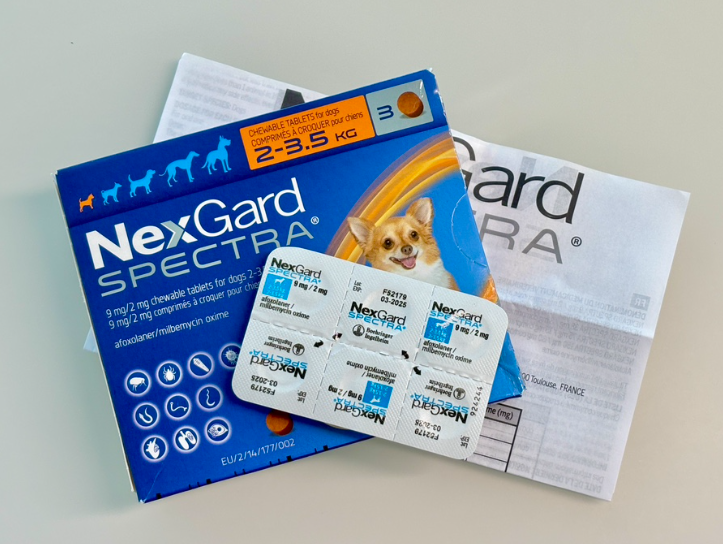 강아지 구충제 추천, 구충제 복용 시기와 주기, 먹이는 법 완벽 정리