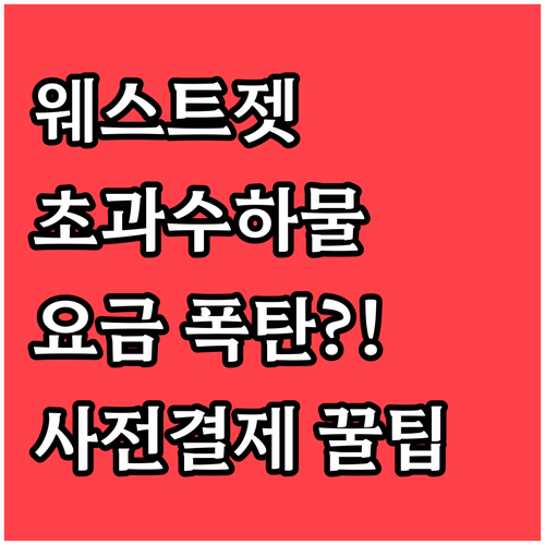 웨스트젯 초과 수하물 요금과 사전 결..