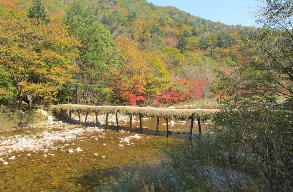 강원도 오대산 선재길 사진