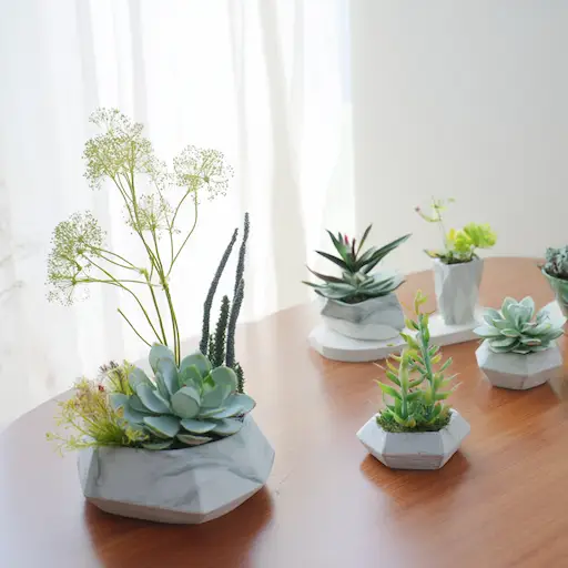 햇살이 드는 원룸 창가 테이블 위의 소형 다육식물 인테리어 구성