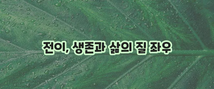 침샘암 전이 이해와 대응이 중요합니다.