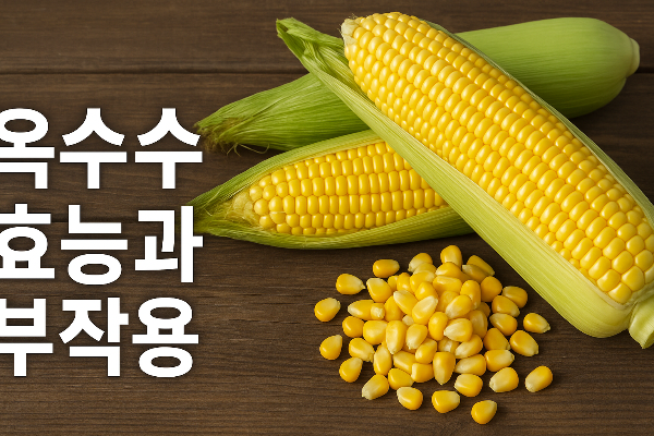 옥수수의 효능 및 영양 성분 부작용