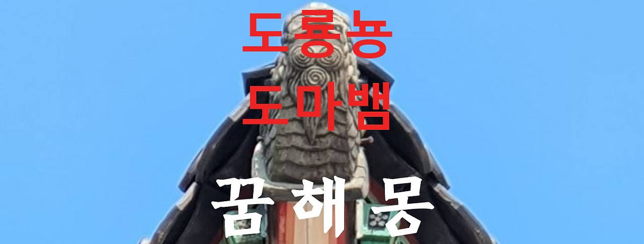 꿈해몽