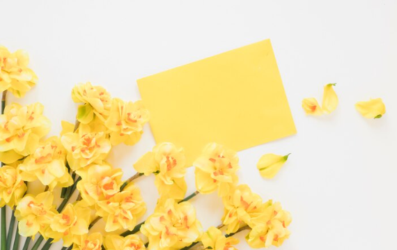 울산 봄꽃 축제 일정 &amp; 벚꽃 명소 개화시기 &amp; 교통편 팁