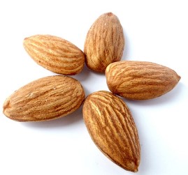 아몬드 효능 땅콩 효능