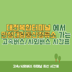 대전복합터미널에서 안성대림동산정류소 가는 시외버스 시간표 최신정보