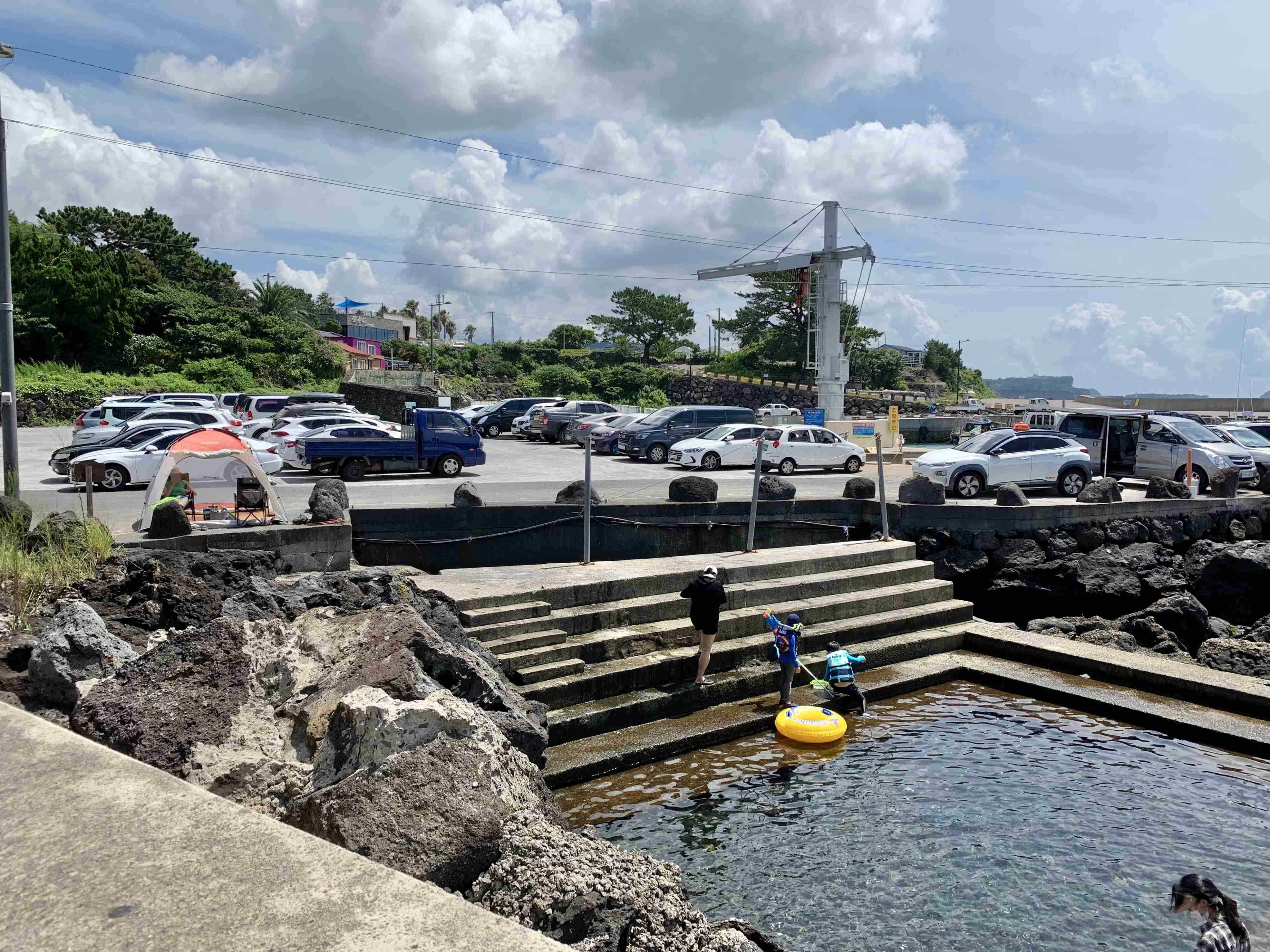 제주도 된장물회