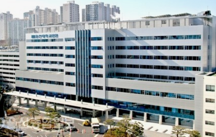 2024년 대한민국 의과대학순위 TOP10