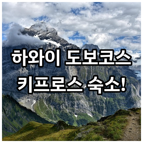 하와이 오아후 도보 여행 코스 및 유..