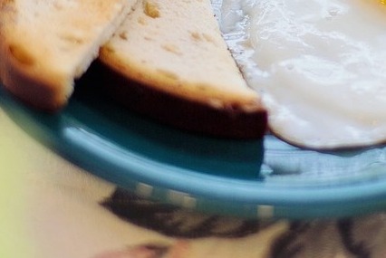 단백질 많은 음식