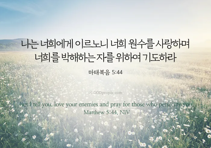 마태복음 5장 주석 개역개정 16절 7절 3절_5