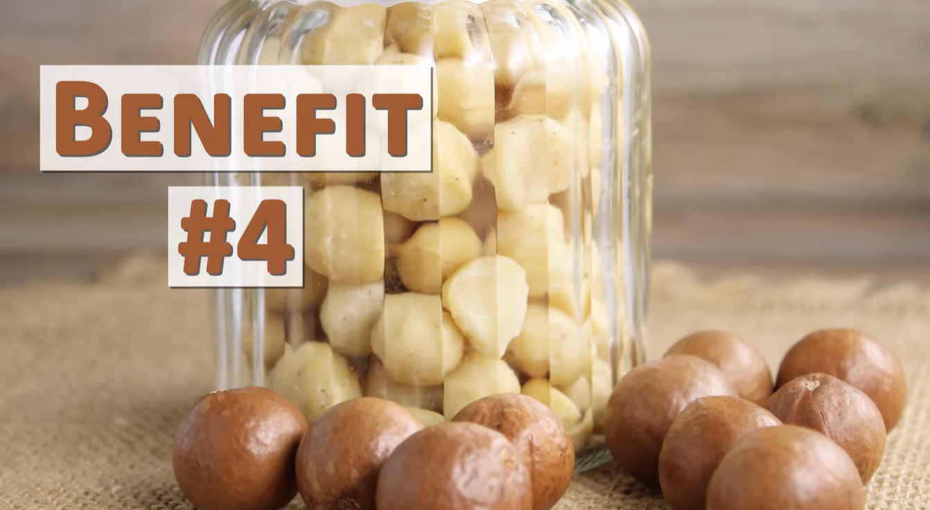 마카다미아의 효능