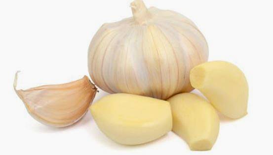 남성호르몬 음식 마늘