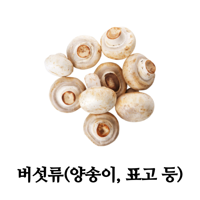 단백질-많은-음식