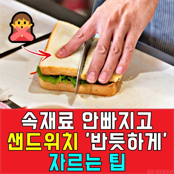 샌드위치 예쁘게 자르기, 남친 도시락, 팁줌 매일꿀정보