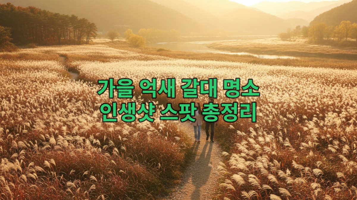 2026년 가을, 은빛 억새와 황금빛 갈대가 어우러진 한국의 가을 풍경. 산책로를 걷는 커플과 끝없이 펼쳐진 억새밭.