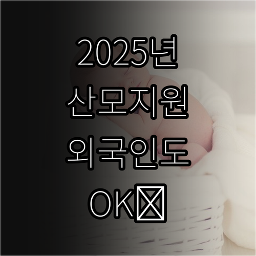 2025 산모·신생아 건강관리: 외국..
