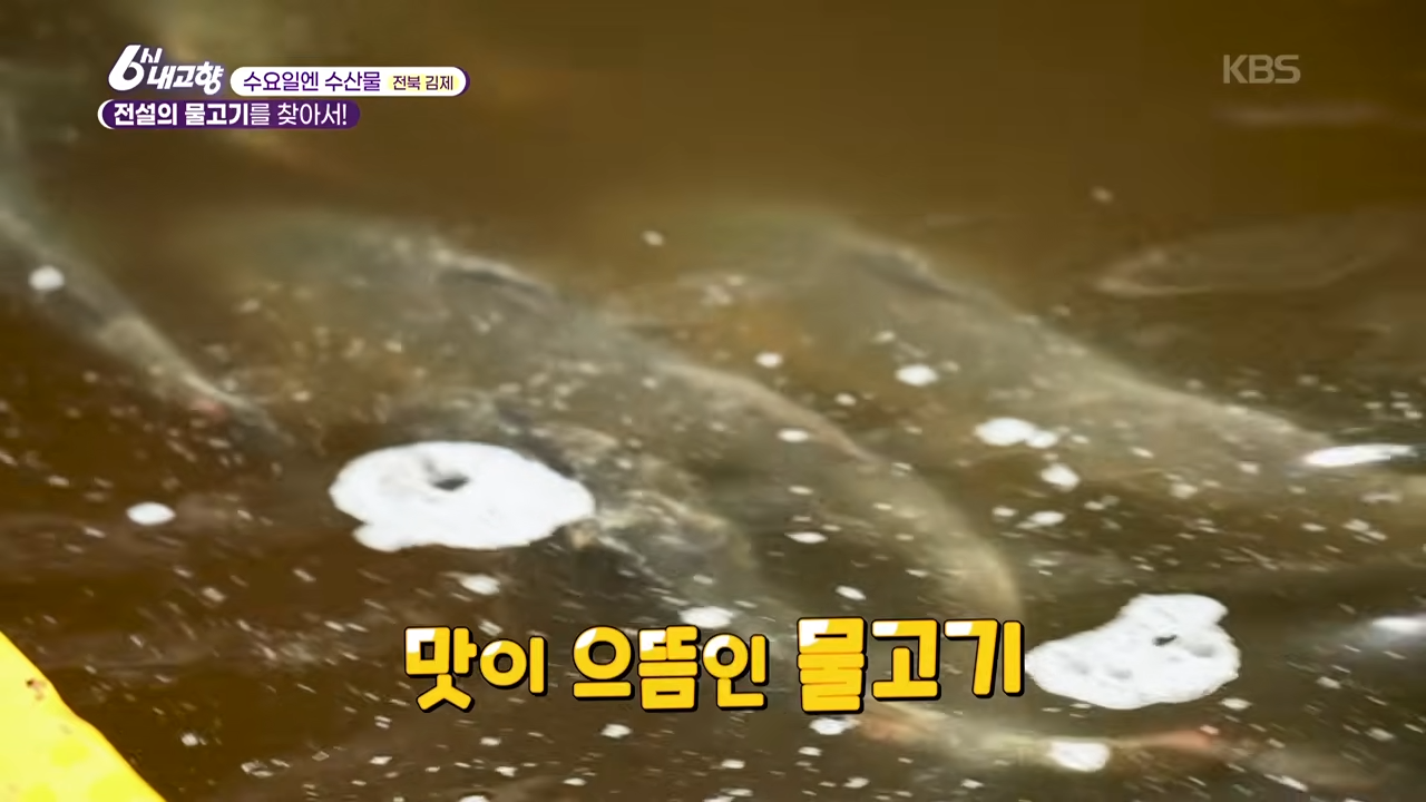 종어 관련 이미지