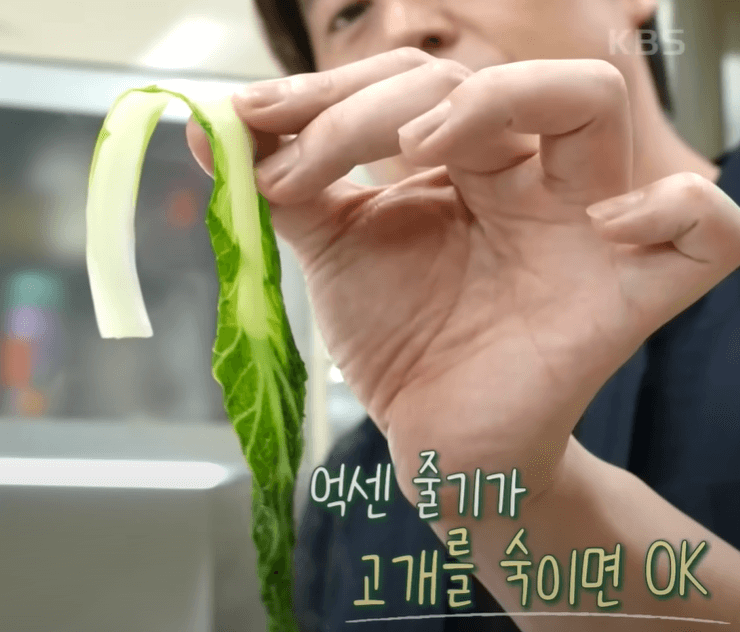 얼갈이배추로 우거지 만들기