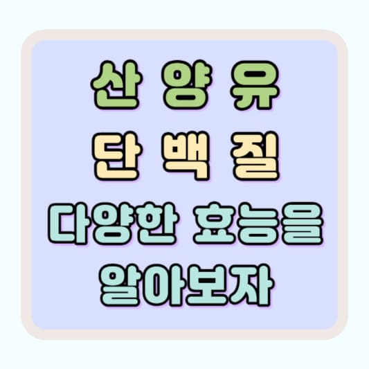 산양유 단백질 분말 효능