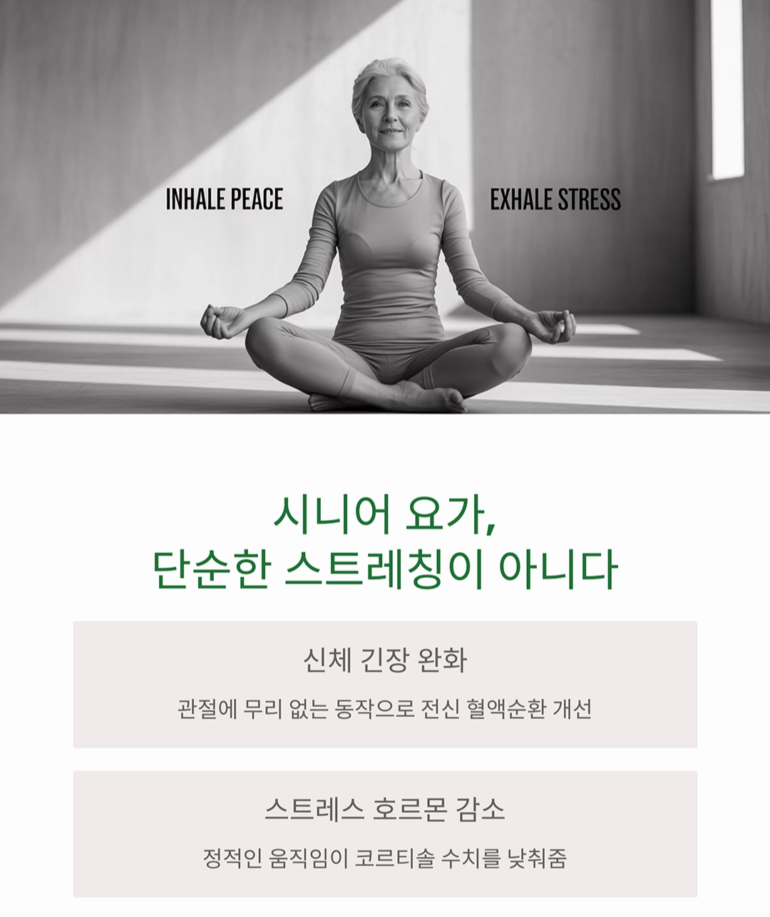 시니어 요가와 명상으로 스트레스에서 벗어나는 법