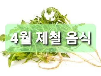4월 제철음식 제철 생선 과일 채소 모음_9