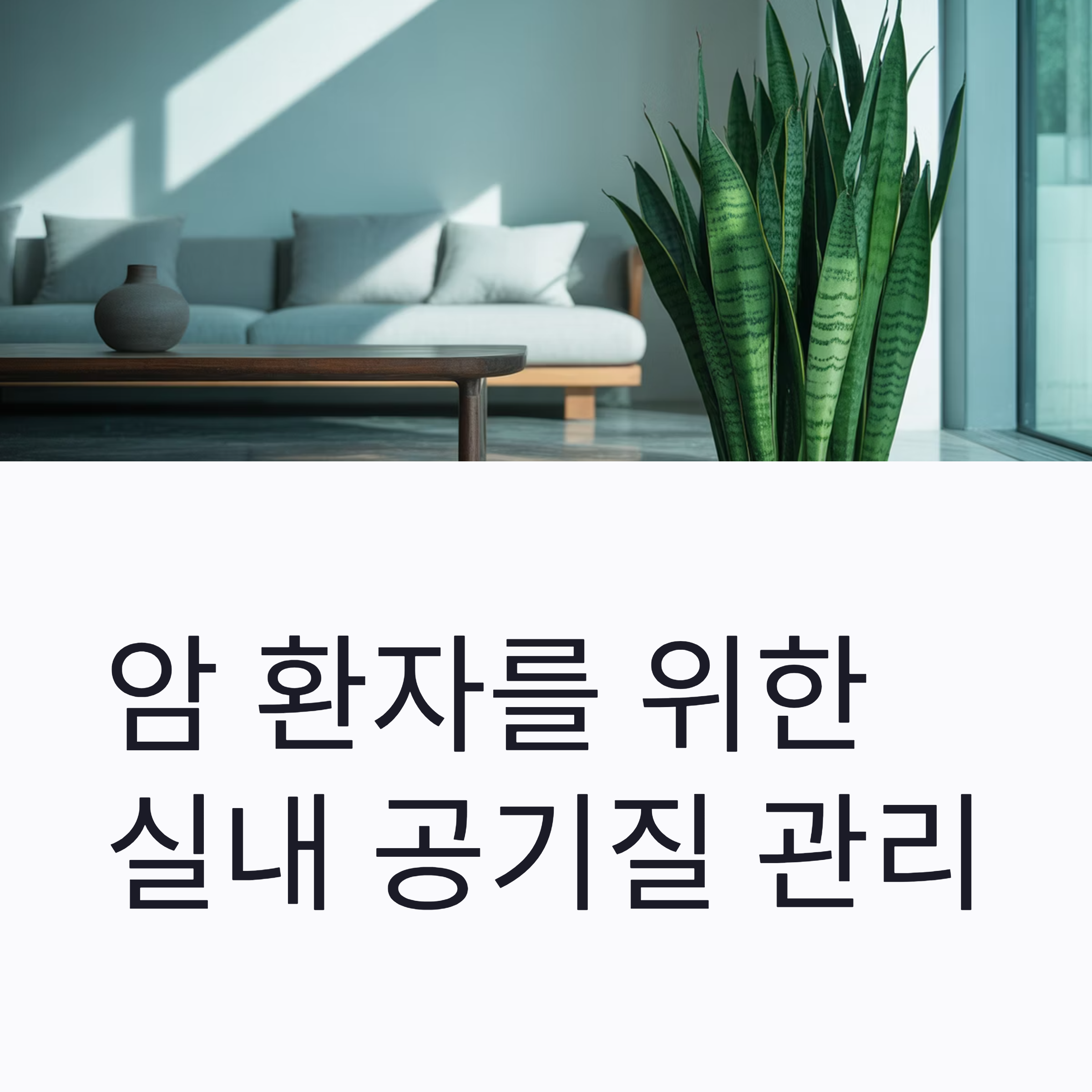 암 환자를 위한 실내 공기질 관리