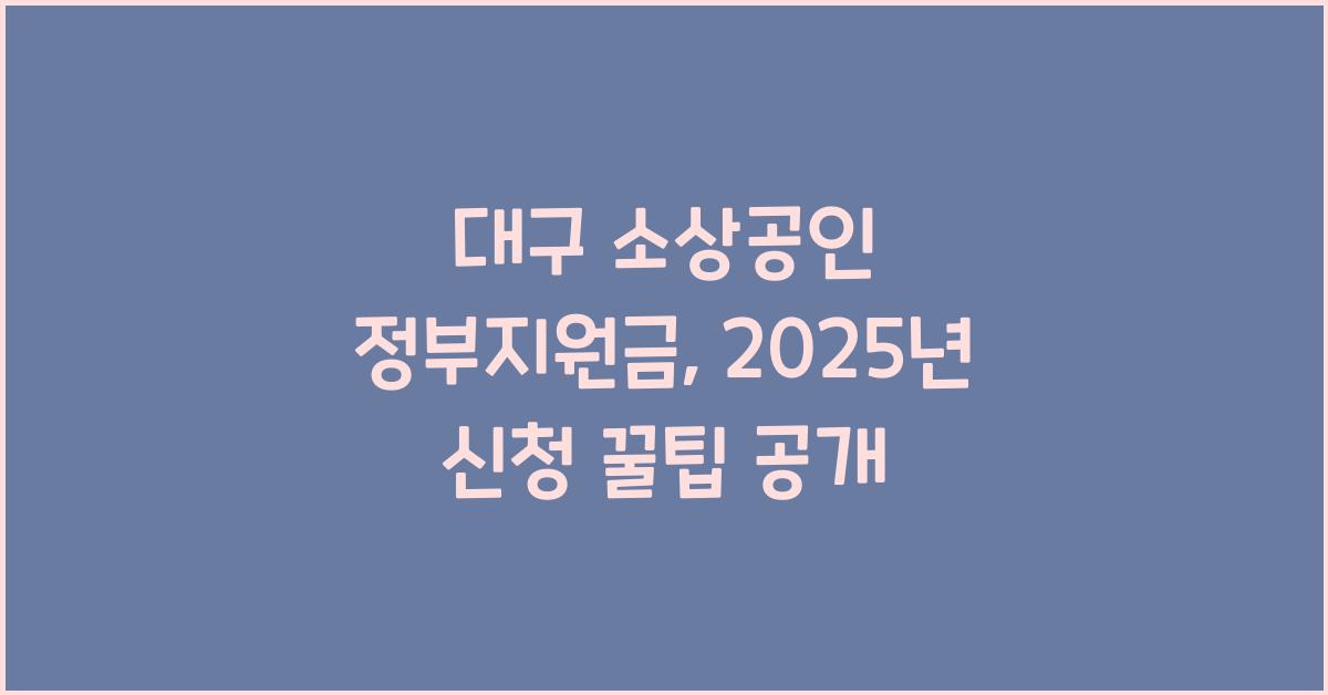 대구 소상공인 정부지원금