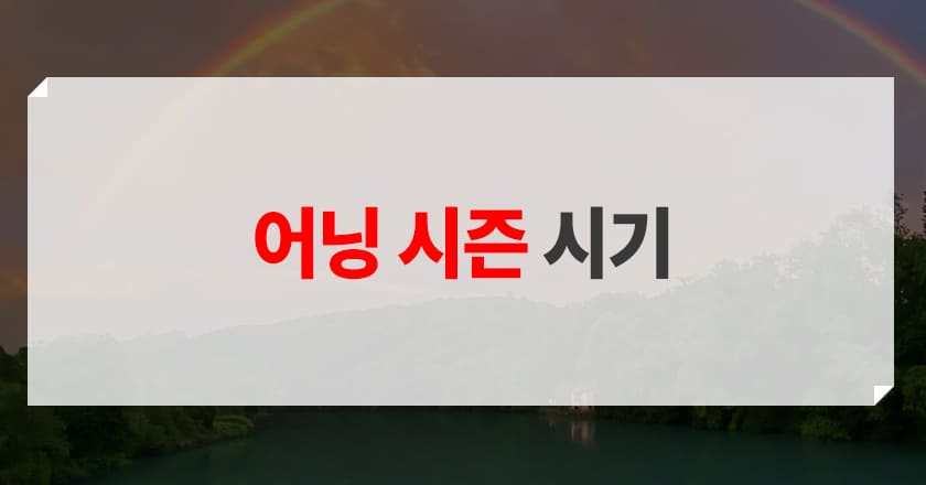 분기별 어닝 시즌 및 공시 의무기간