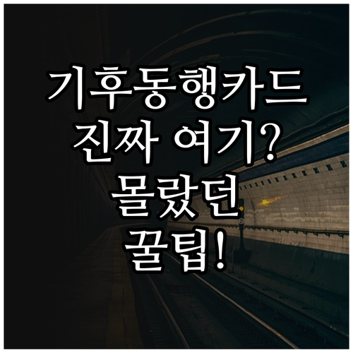 서울 지하철 기후동행카드 구매처 총정..
