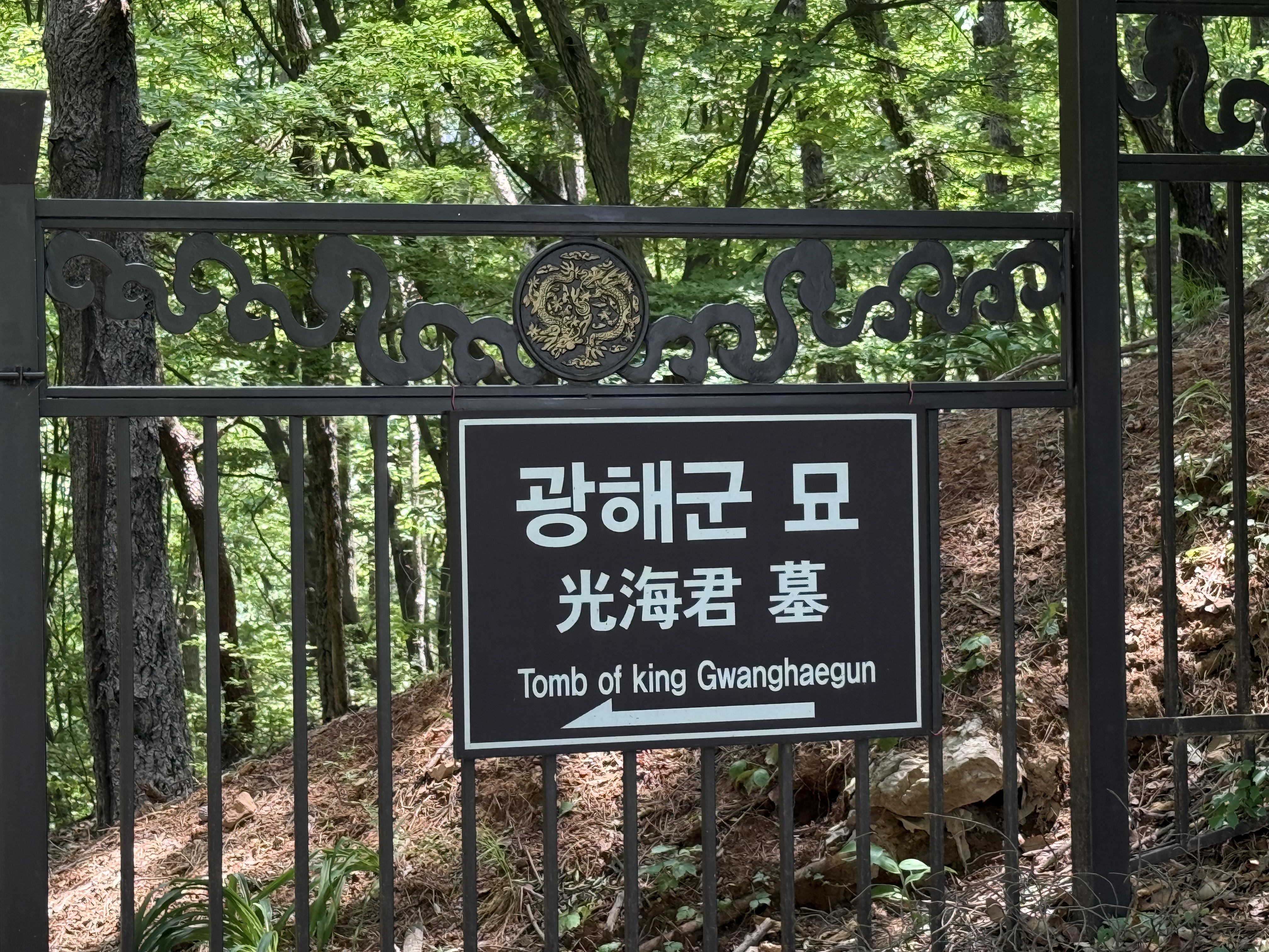 창한 숲 속, 광해군 묘 입구를 알리는 검은색 표지판. 흰 글씨로 '광해군 묘 Tomb of king Gwanghaegun'이 적혀 있으며 왼쪽 방향을 가리키고 있다.