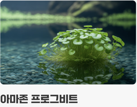 어항의 허파&amp;#44; 수초를 심자