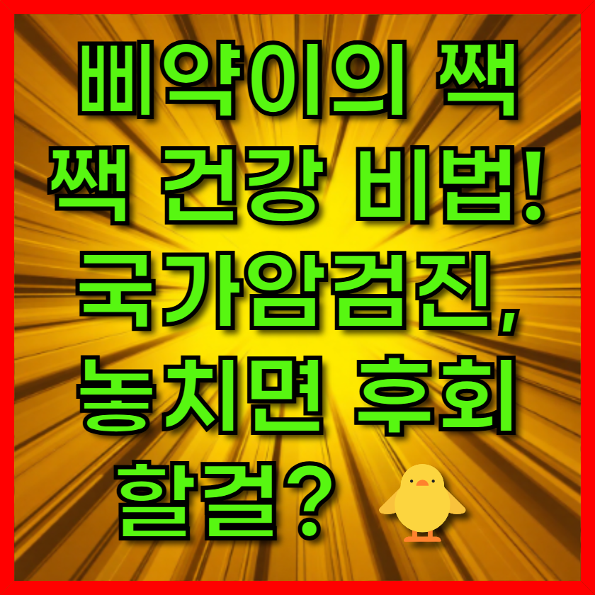 삐약이의 짹짹 건강 비법!
국가암검진, 놓치면 후회할걸?