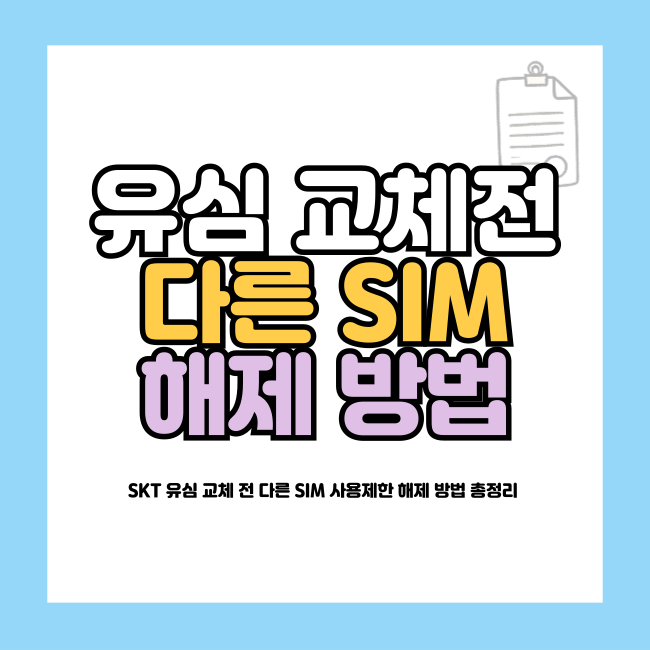 다른 SIM 사용제한