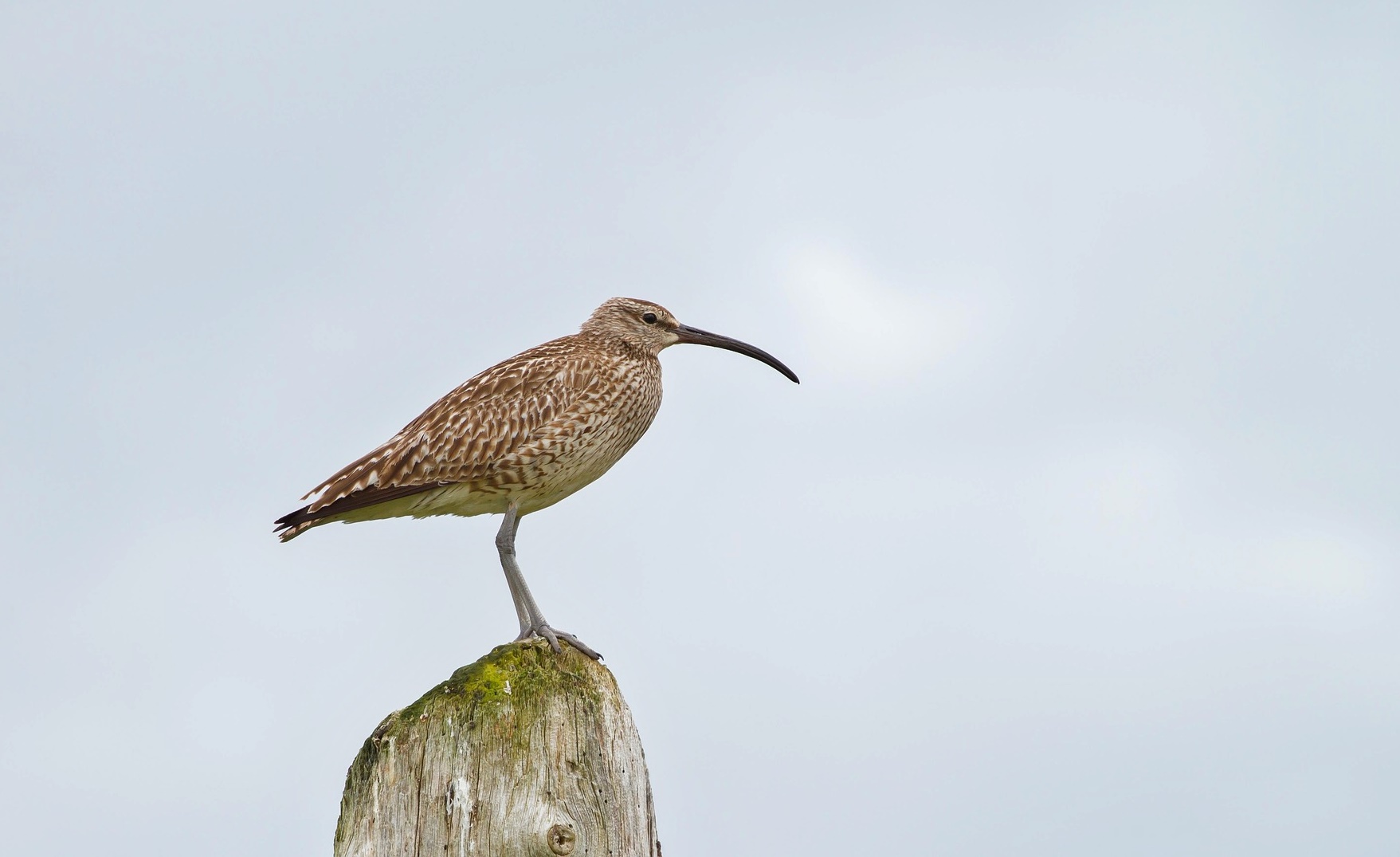 얼음 아래 숨겨진 자원! 그린란드가 &lsquo;차세대 에너지 창고&rsquo;로 불리는 이유