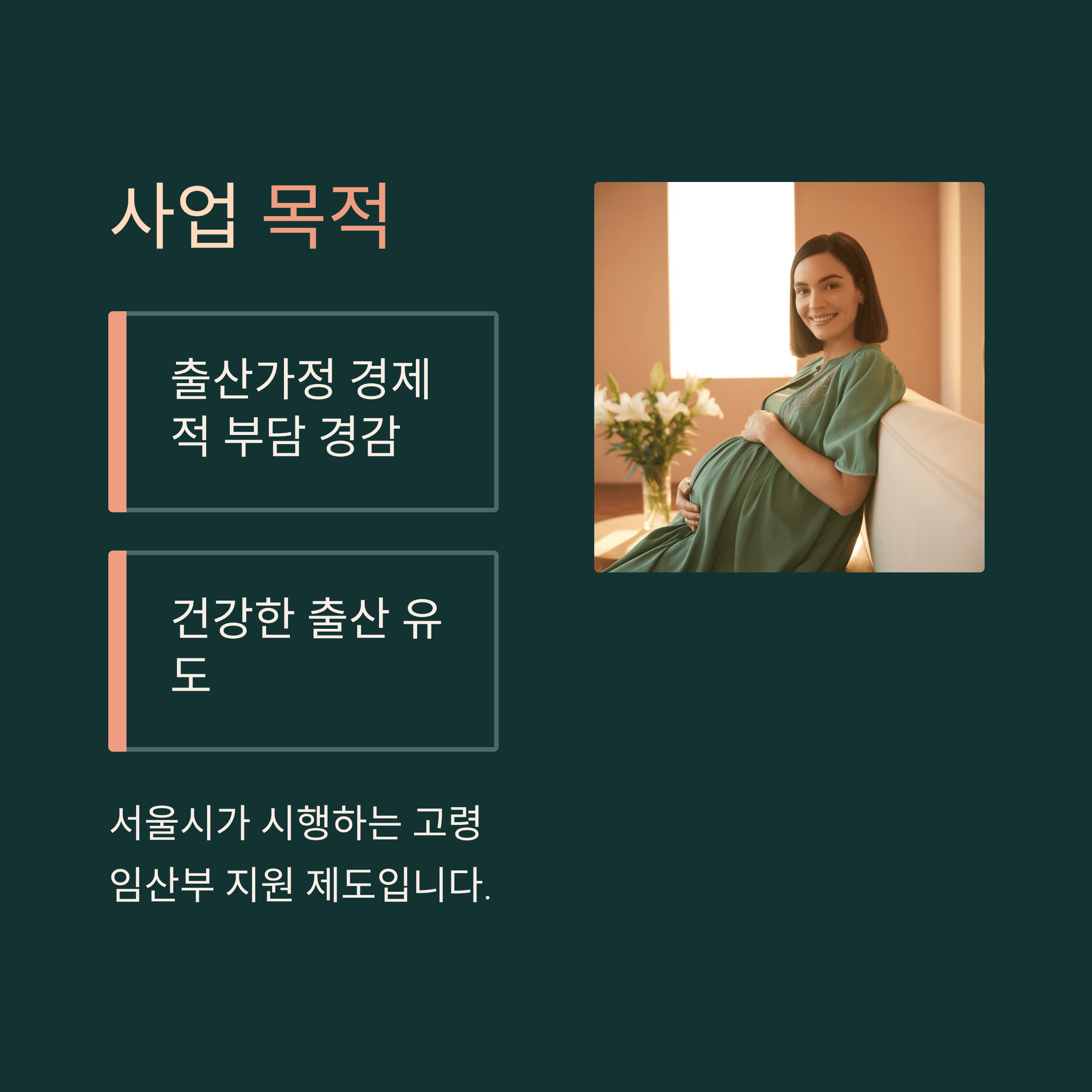서울시 35세 이상 임산부 의료비 최대 50만원 지원사업 사업 목적