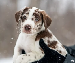 시력 좋아지는 법