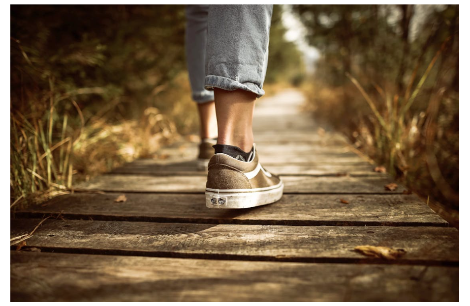 걷기 운동 효과